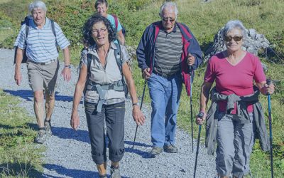 ASA Walking Challenge